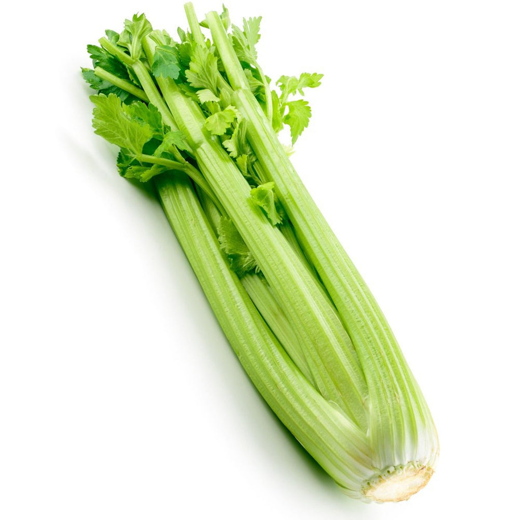 Celery